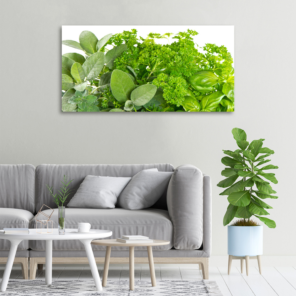 Canvas wall art Herbs