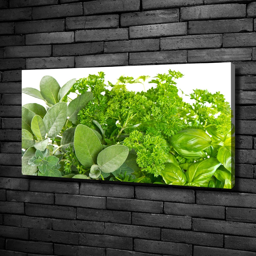 Canvas wall art Herbs