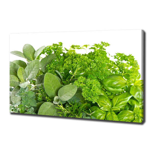 Canvas wall art Herbs