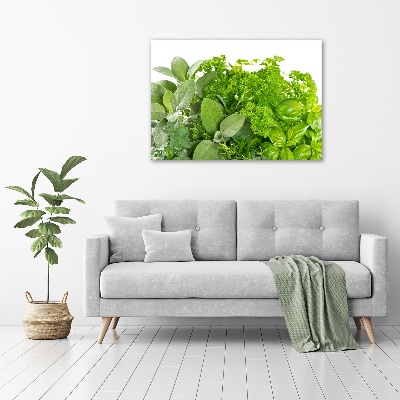 Canvas wall art Herbs