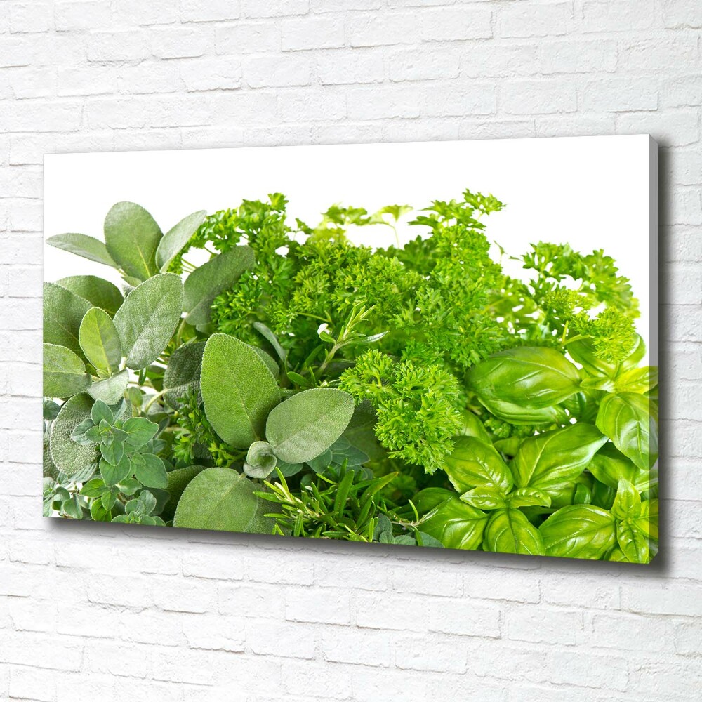 Canvas wall art Herbs