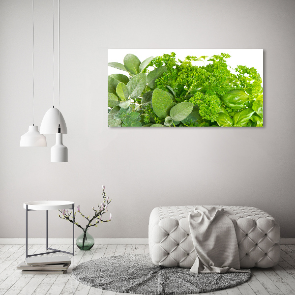 Canvas wall art Herbs