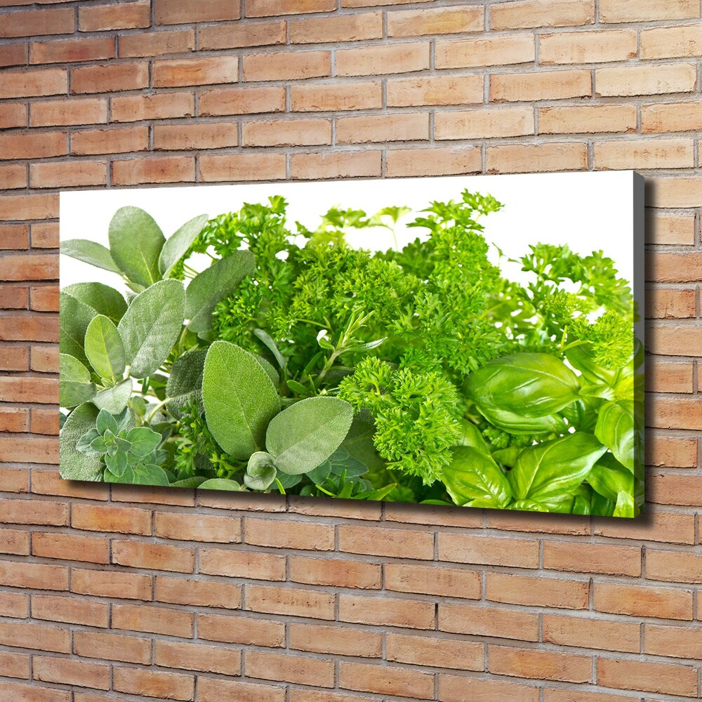 Canvas wall art Herbs