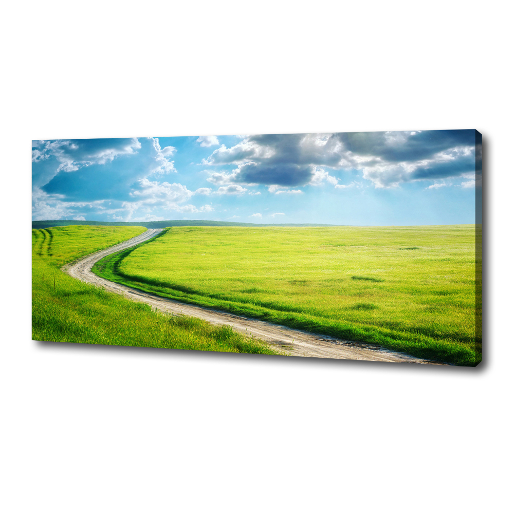 Canvas wall art Path in the meadow