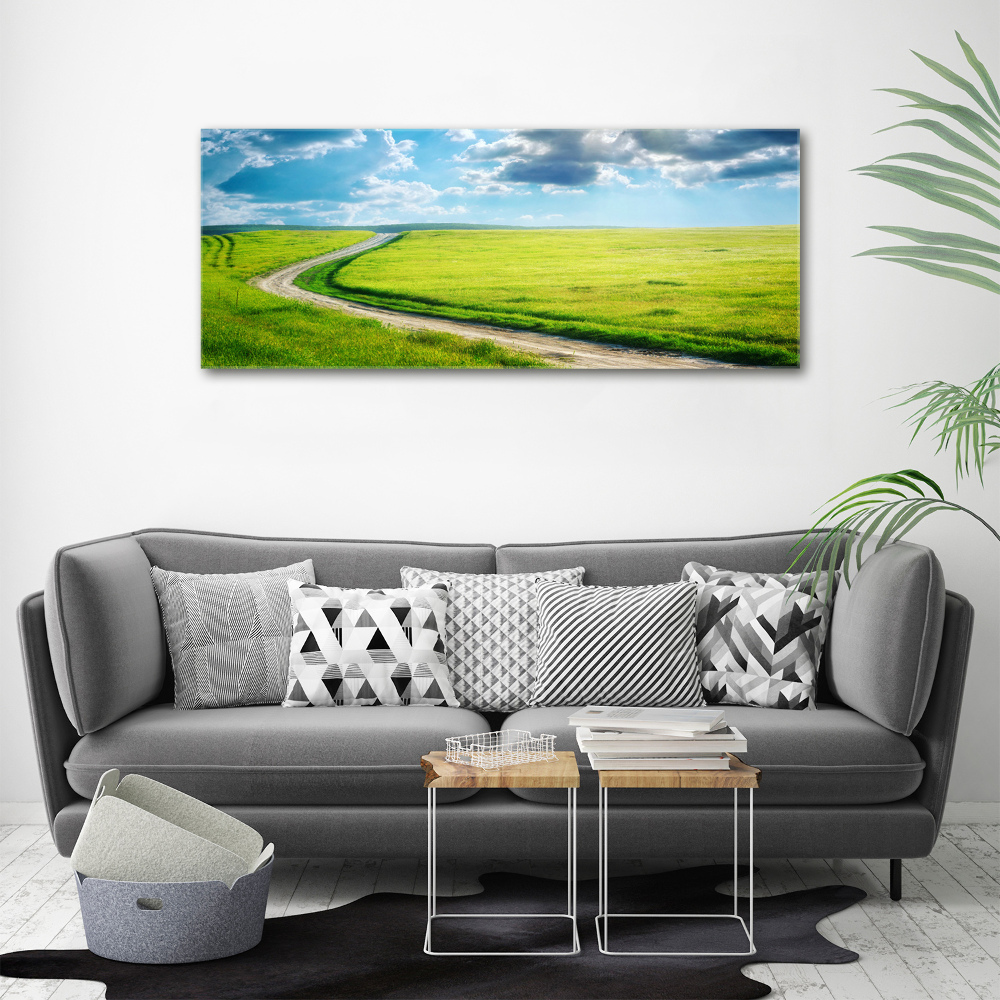 Canvas wall art Path in the meadow