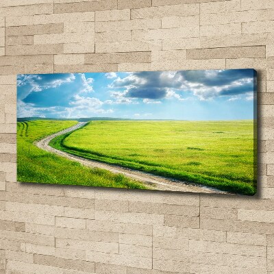 Canvas wall art Path in the meadow