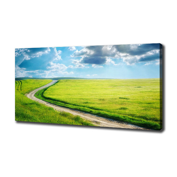 Canvas wall art Path in the meadow