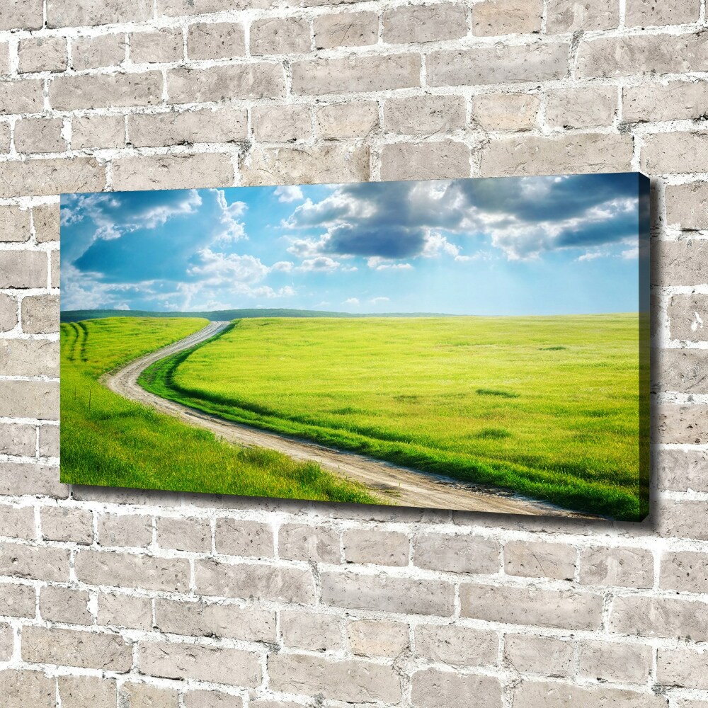 Canvas wall art Path in the meadow