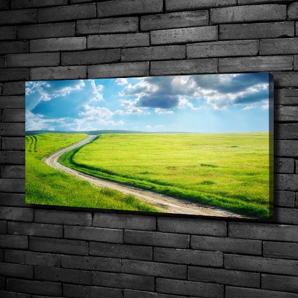 Canvas wall art Path in the meadow