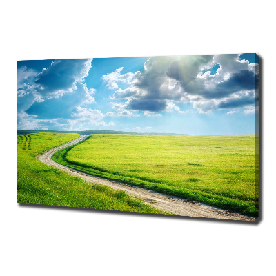 Canvas wall art Path in the meadow