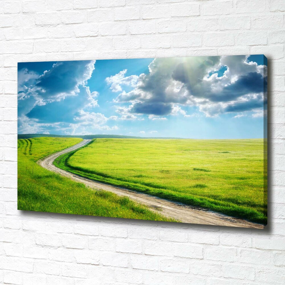 Canvas wall art Path in the meadow