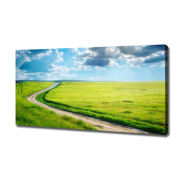 Canvas wall art Path in the meadow