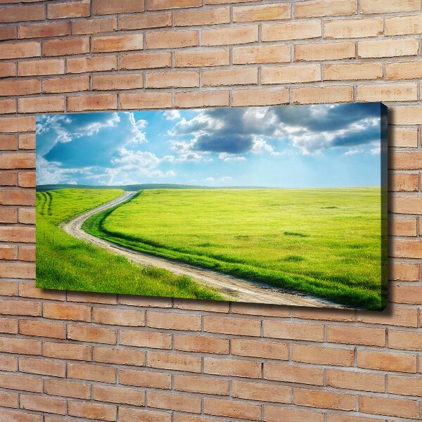 Canvas wall art Path in the meadow