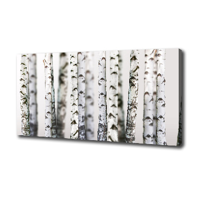 Canvas wall art Birch trunks