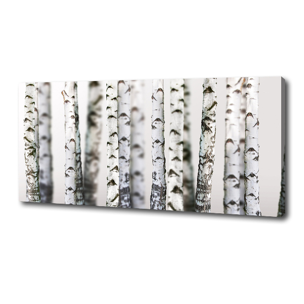 Canvas wall art Birch trunks