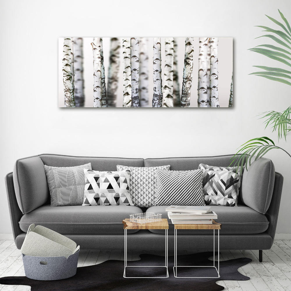 Canvas wall art Birch trunks