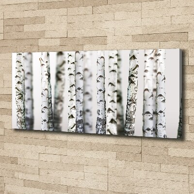 Canvas wall art Birch trunks