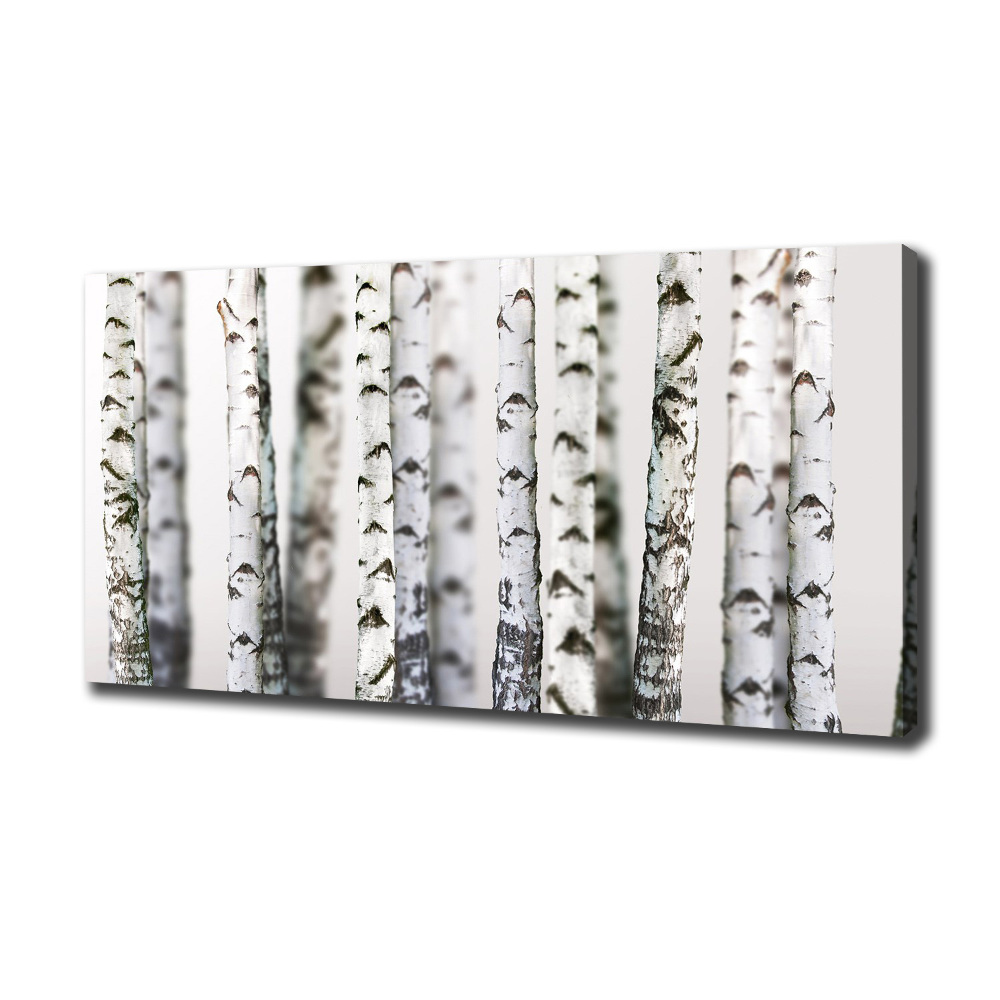 Canvas wall art Birch trunks