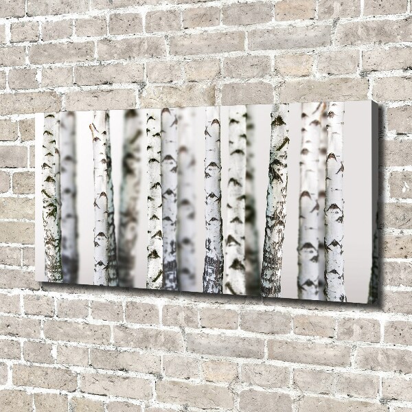 Canvas wall art Birch trunks