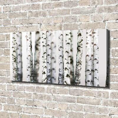 Canvas wall art Birch trunks