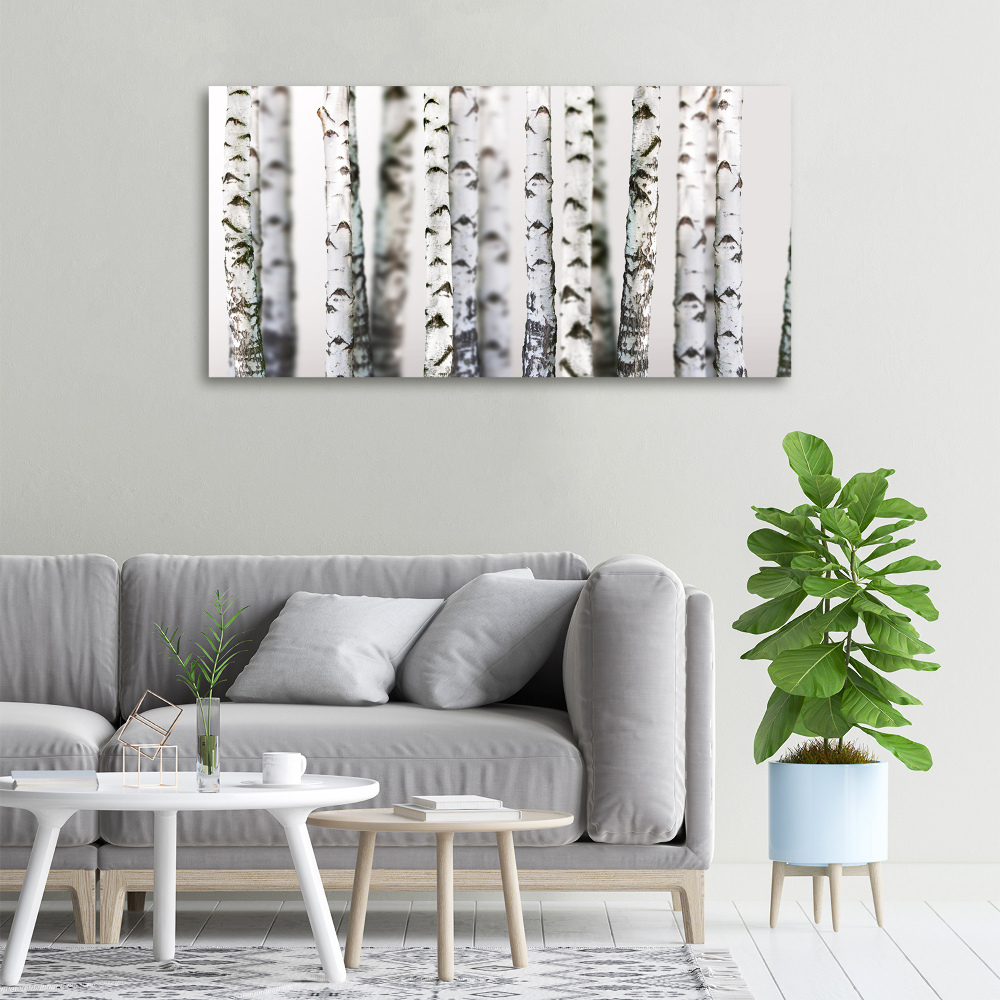 Canvas wall art Birch trunks