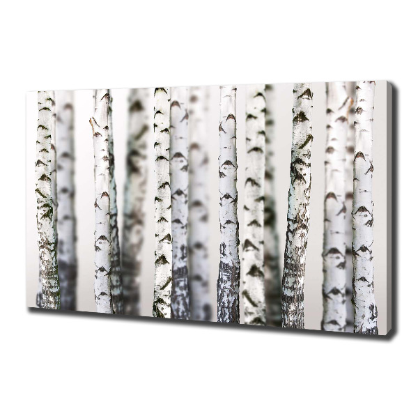 Canvas wall art Birch trunks