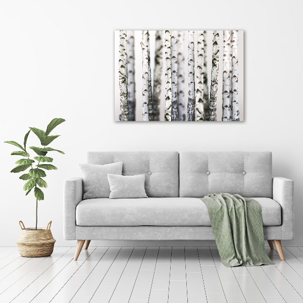 Canvas wall art Birch trunks