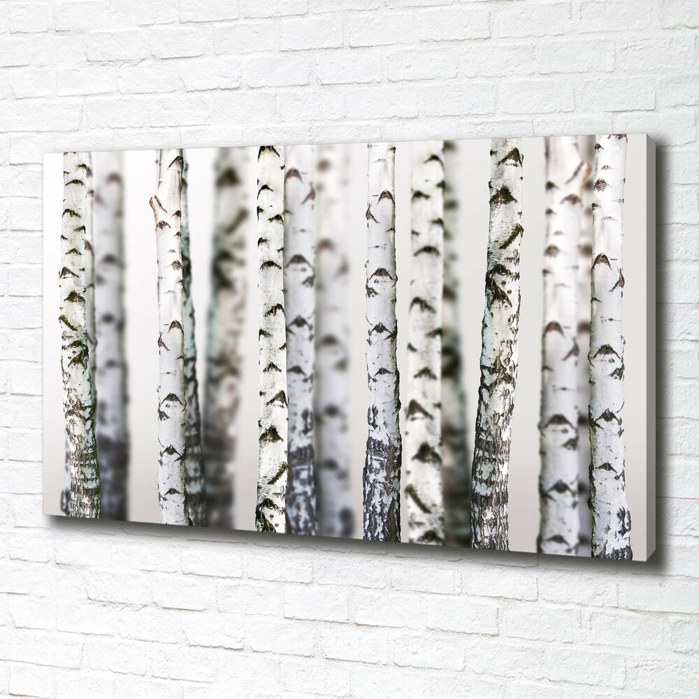 Canvas wall art Birch trunks