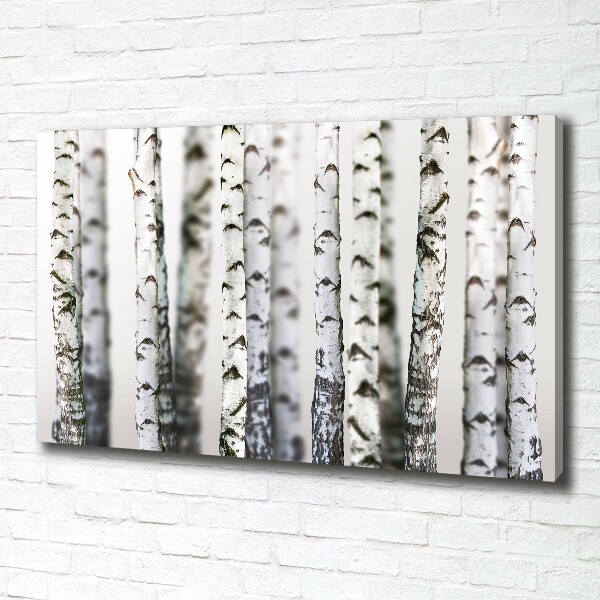 Canvas wall art Birch trunks