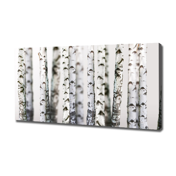 Canvas wall art Birch trunks