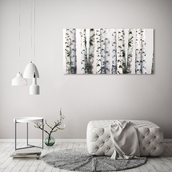 Canvas wall art Birch trunks