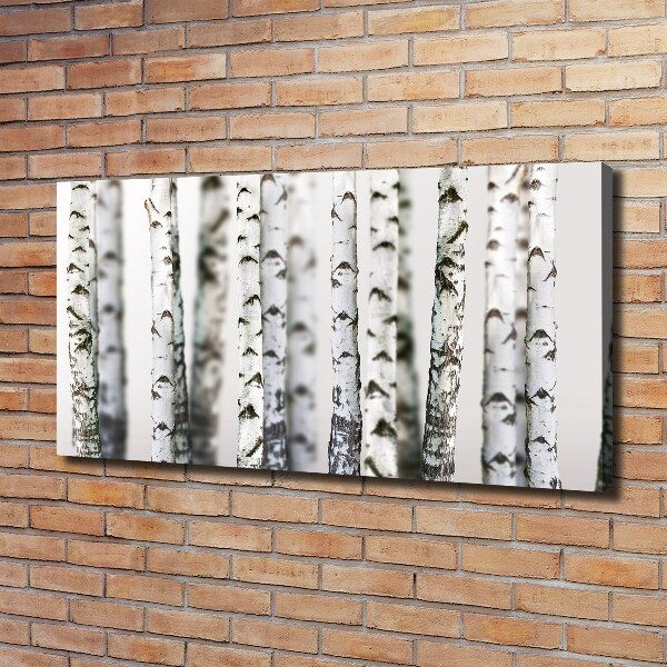 Canvas wall art Birch trunks