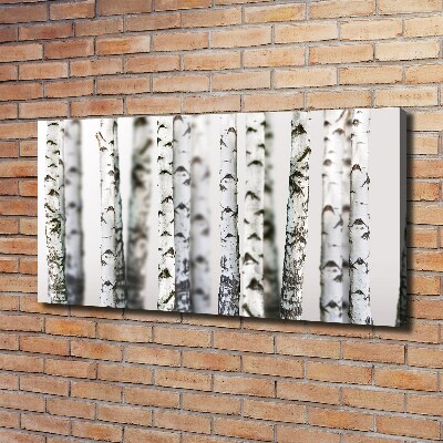 Canvas wall art Birch trunks