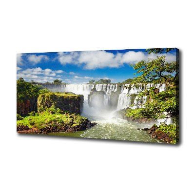 Canvas wall art Argentina waterfall