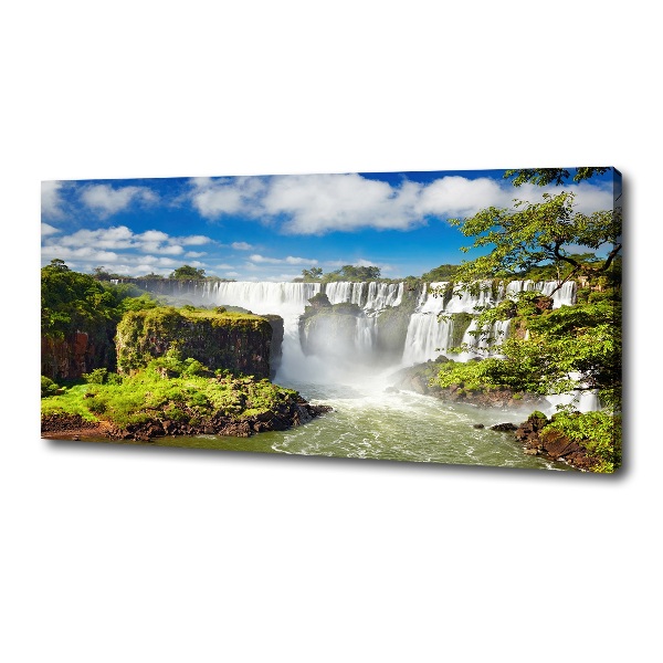 Canvas wall art Argentina waterfall