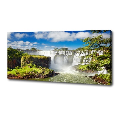 Canvas wall art Argentina waterfall