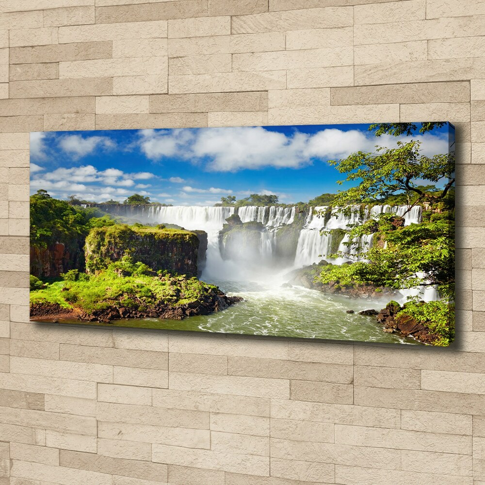 Canvas wall art Argentina waterfall