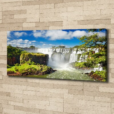 Canvas wall art Argentina waterfall