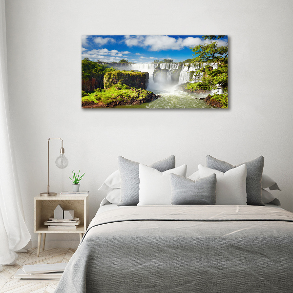 Canvas wall art Argentina waterfall