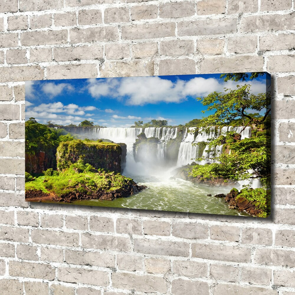 Canvas wall art Argentina waterfall