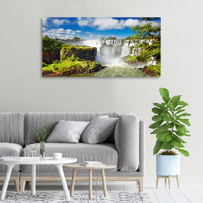 Canvas wall art Argentina waterfall