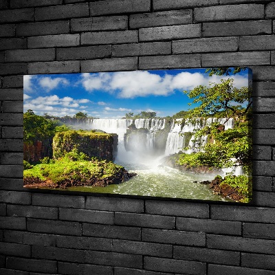 Canvas wall art Argentina waterfall