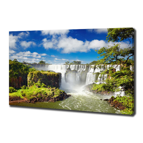 Canvas wall art Argentina waterfall