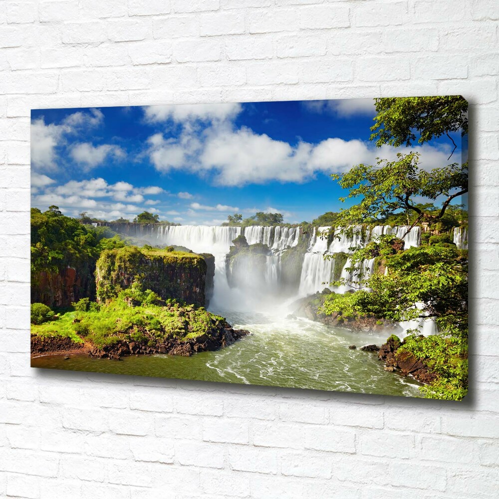 Canvas wall art Argentina waterfall