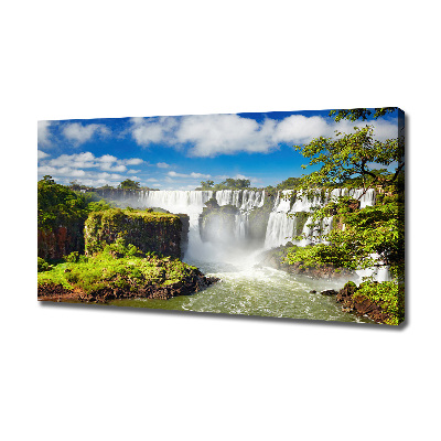 Canvas wall art Argentina waterfall