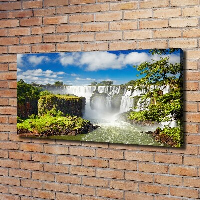 Canvas wall art Argentina waterfall