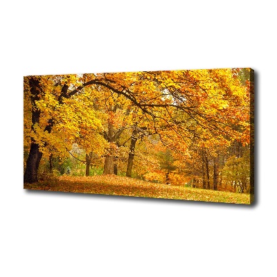 Canvas wall art Autumn in the park