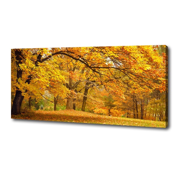 Canvas wall art Autumn in the park