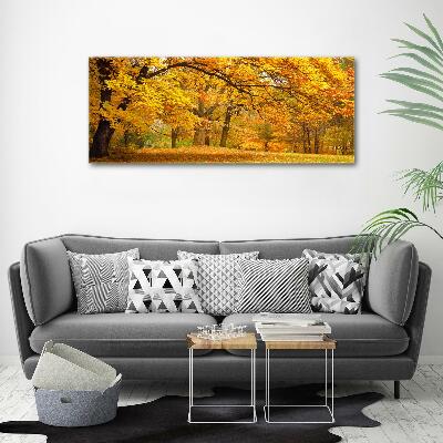 Canvas wall art Autumn in the park