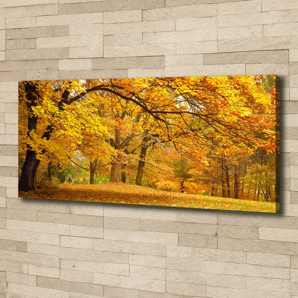 Canvas wall art Autumn in the park